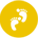 發展曆程